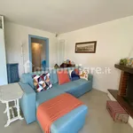 2-room flat Lungarno Trento e Trieste 21, Limite, Capraia e Limite