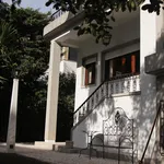 Rent 8 bedroom house in Porto