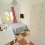 Rent 4 bedroom apartment in Seville