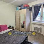 Appartement de 44 m² avec 2 chambre(s) en location à Firminy