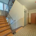 Rent 2 bedroom apartment of 58 m² in Litoměřice