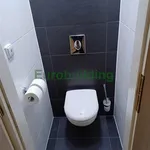 Rent 4 bedroom apartment of 63 m² in Praha 11