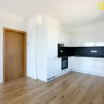 Pronajměte si 2 ložnic/e byt o rozloze 69 m² v České Budějovice