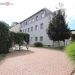 Rent 1 bedroom apartment of 10 m² in Brno