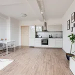 Pronajměte si 1 ložnic/e byt o rozloze 55 m² v Prague