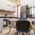 Rent 3 bedroom apartment in Bologna