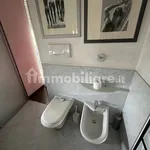 Rent 2 bedroom apartment of 110 m² in Turin