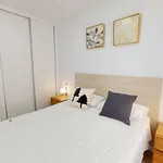 Alquilo 4 dormitorio apartamento de 80 m² en Alicante