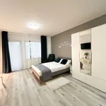 Rent 1 bedroom apartment of 35 m² in Frankfurt