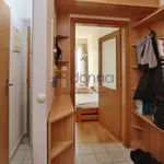 Rent 1 bedroom apartment in Capital City of Prague