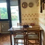 Rent 3 bedroom apartment of 120 m² in Padova