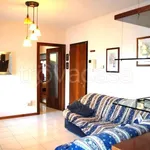 Rent 2 bedroom apartment of 60 m² in Noale