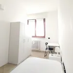 Rent 5 bedroom apartment in Milan