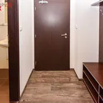 Rent 2 bedroom apartment of 35 m² in Sázava