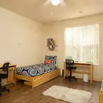 Rent 1 bedroom apartment in Gainesville