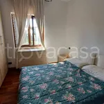 Rent 3 bedroom apartment of 80 m² in Rome