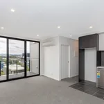 Rent 1 bedroom apartment in braddon