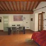 Rent 2 bedroom apartment of 50 m² in Livorno