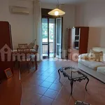 Rent 2 bedroom apartment of 73 m² in Monza