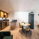 Rent 1 bedroom apartment of 43 m² in Villeurbanne