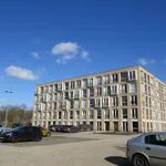 Huur 1 slaapkamer appartement van 45 m² in Cuijk