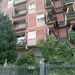 Rent 3 bedroom apartment of 80 m² in Torino