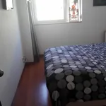 Rent 1 bedroom apartment in Lisbon