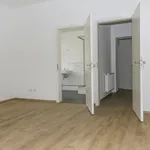 Miete 3 Schlafzimmer wohnung von 124 m² in Nuremberg