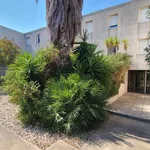 Rent 3 bedroom apartment of 52 m² in Marseille