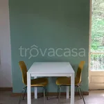 Rent 1 bedroom apartment of 28 m² in Turin