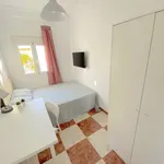 Rent a room in seville