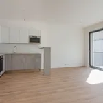 Rent 1 bedroom apartment of 43 m² in brno