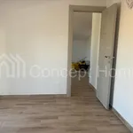 Rent 2 bedroom apartment of 50 m² in Roma