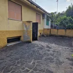 Villa a Schiera in in affitto da privato a Vibonati contrada San Pietro, 13, giardino, posto auto, da privato - TrovaCasa