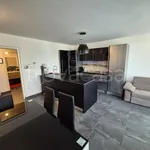 Rent 1 bedroom apartment of 60 m² in Merano