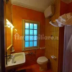 Rent 2 bedroom house of 55 m² in Livorno