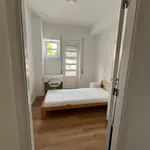 Rent 4 bedroom apartment in Porto