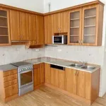 Rent 2 bedroom apartment of 58 m² in Prague