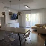 Rent 3 bedroom apartment of 110 m² in Trento