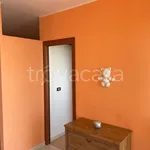 Rent 2 bedroom apartment of 45 m² in Tortoreto