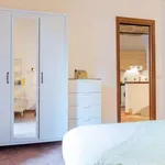 Rent 1 bedroom apartment in Rome