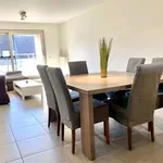 Rent 1 bedroom apartment in Herzele