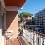 Rent 3 bedroom apartment in Rome