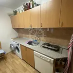 Rent 1 bedroom house in Brno