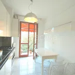 Rent 1 bedroom apartment of 45 m² in Milano