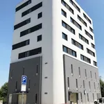 Pronajměte si 1 ložnic/e byt o rozloze 28 m² v Brno