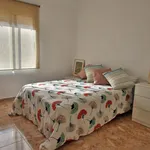 Alquilar 4 dormitorio apartamento en Valencia