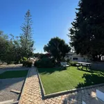 Alugar 1 quarto casa de 50 m² em Tavira