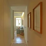 Rent 1 bedroom apartment in porto