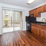 Rent 1 bedroom apartment in Austin